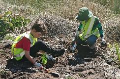 Treeplanting2016