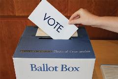 Vote