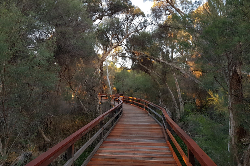 Boardwalk Repairs Complete