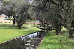 BodkinPark