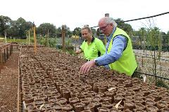 Coir fibre pots