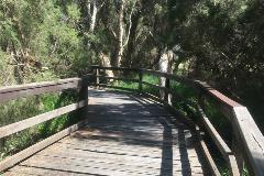 Melaleucaboardwalk