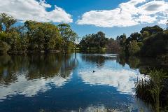 NeilMcDougallParkLake