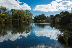 NeilMcDougallParkLake