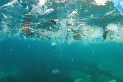 PlasticBagBan