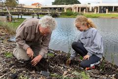 DouglasLakeswetlandplanting