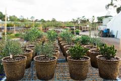 nursery