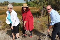 Planting at Salter Point