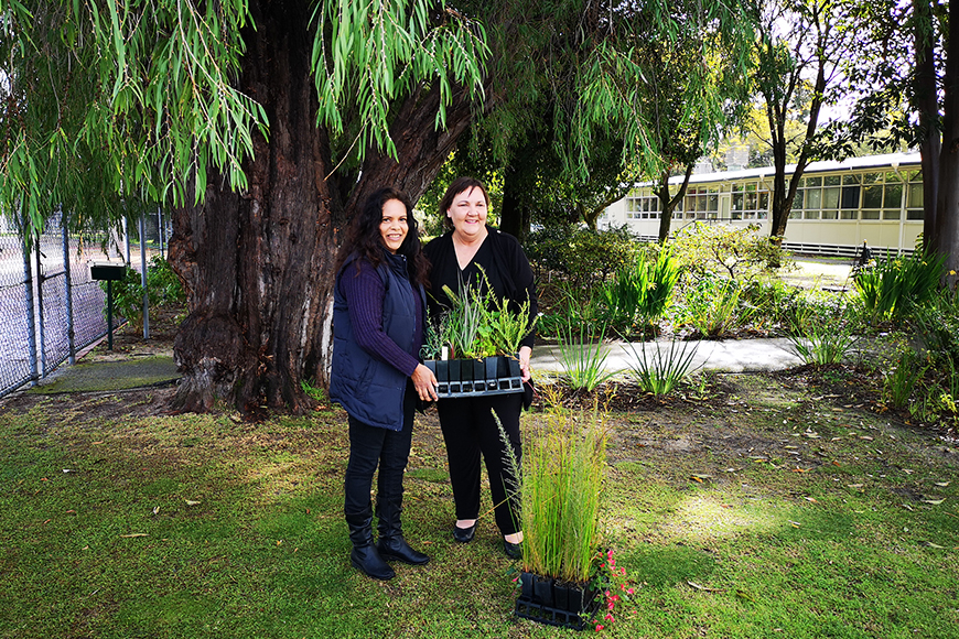 Robyn and Jasmine Curtin Primary School plants