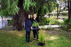 Robyn and Jasmine Curtin Primary School plants