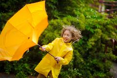 stormboy