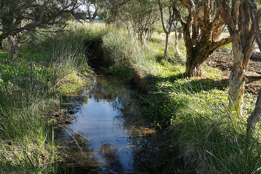 Living Stream