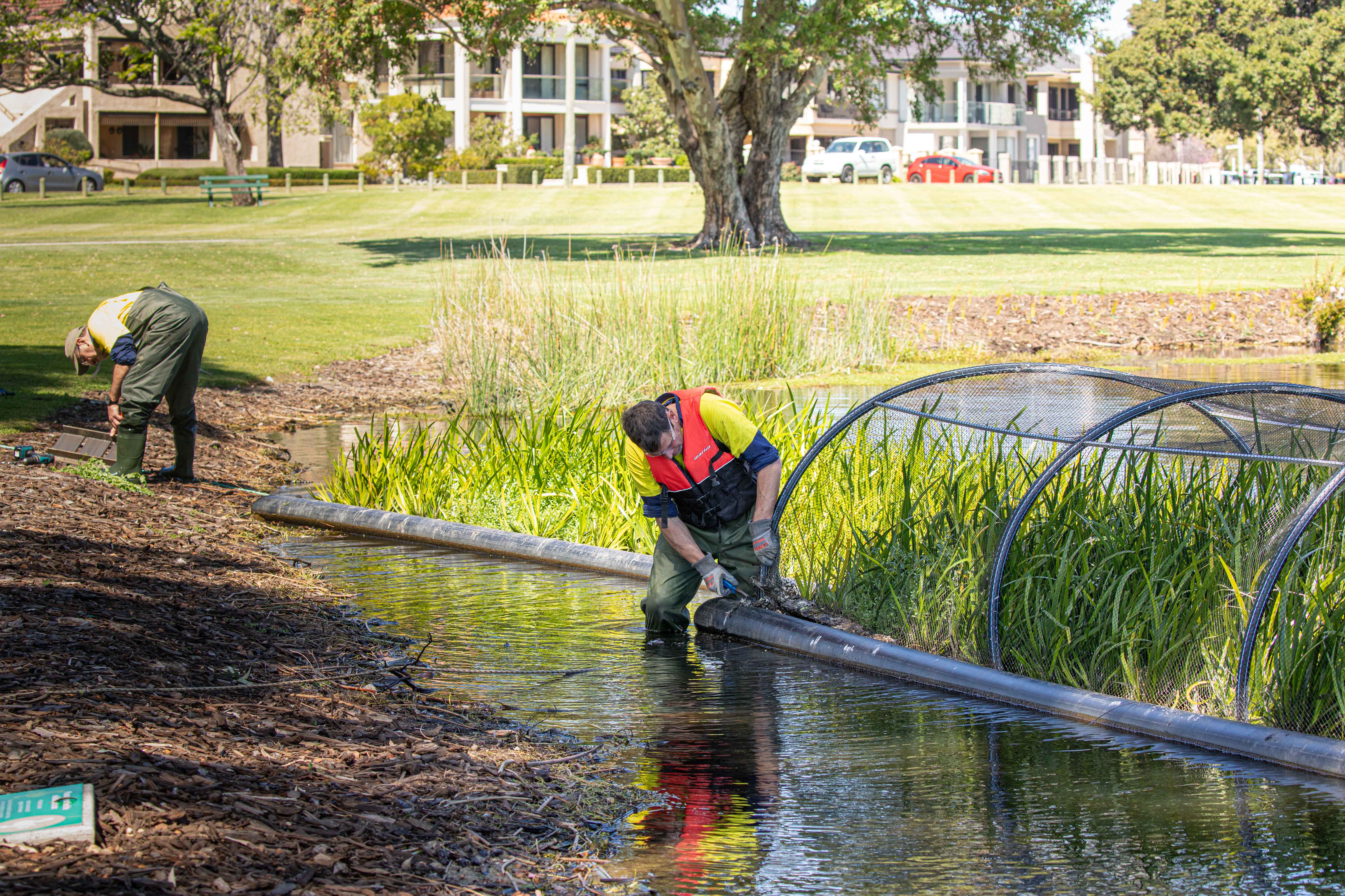 removing nets