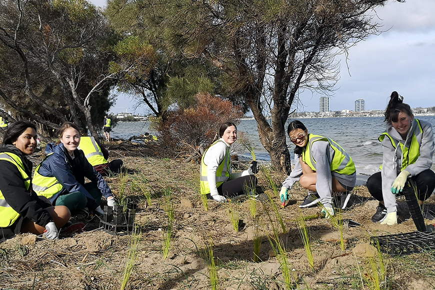 Tree Planting 4