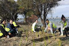 Tree Planting 4