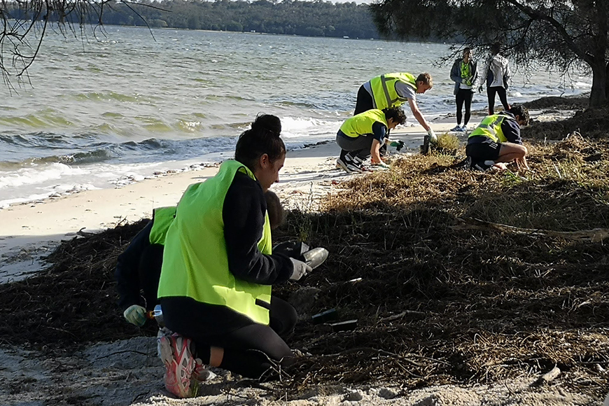 Tree planting 5