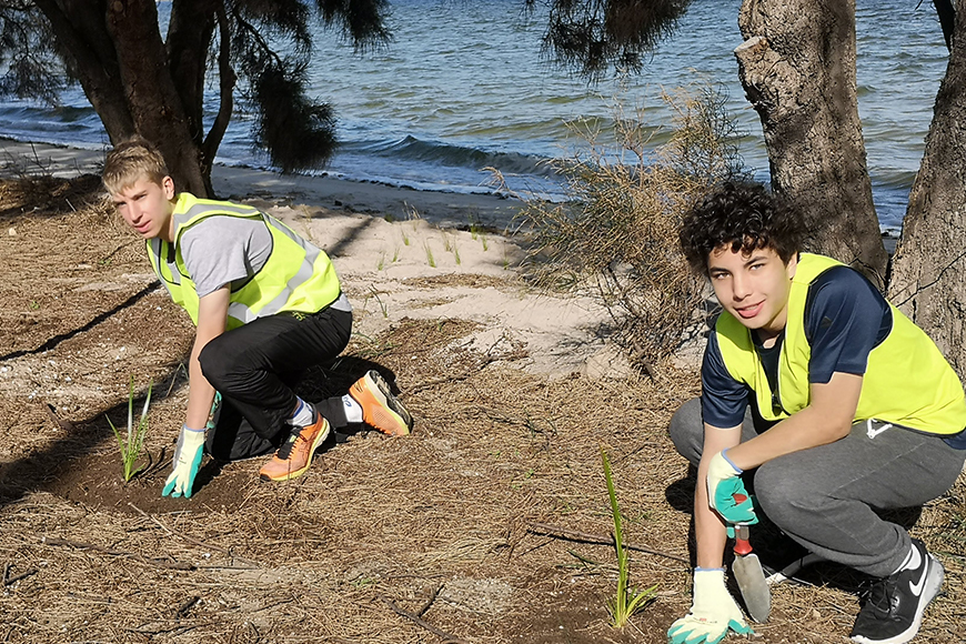 Tree planting 6