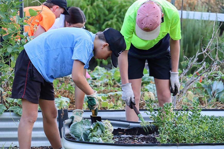 Aquinas College students gardening at McDougall Farm Community Garden