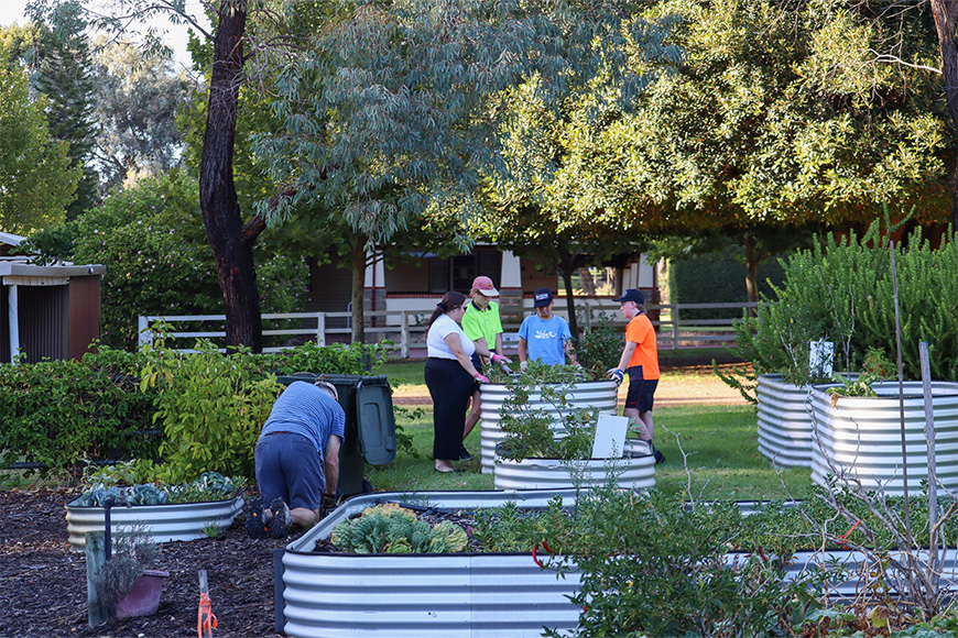 Aquinas College students gardening at McDougall Farm Community Garden