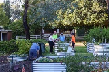 Aquinas College students gardening at McDougall Farm Community Garden