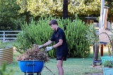 Aquinas College students gardening at McDougall Farm Community Garden