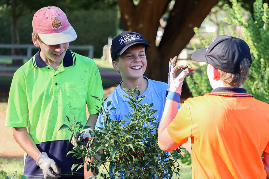 Aquinas College students at McDougall Farm Community Garden in Como