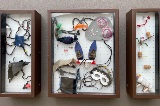 ColoursofNaturecollagesdisplayedintheBoxGallery
