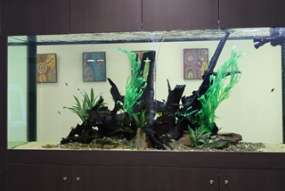 SouthPerthLibraryfishtank