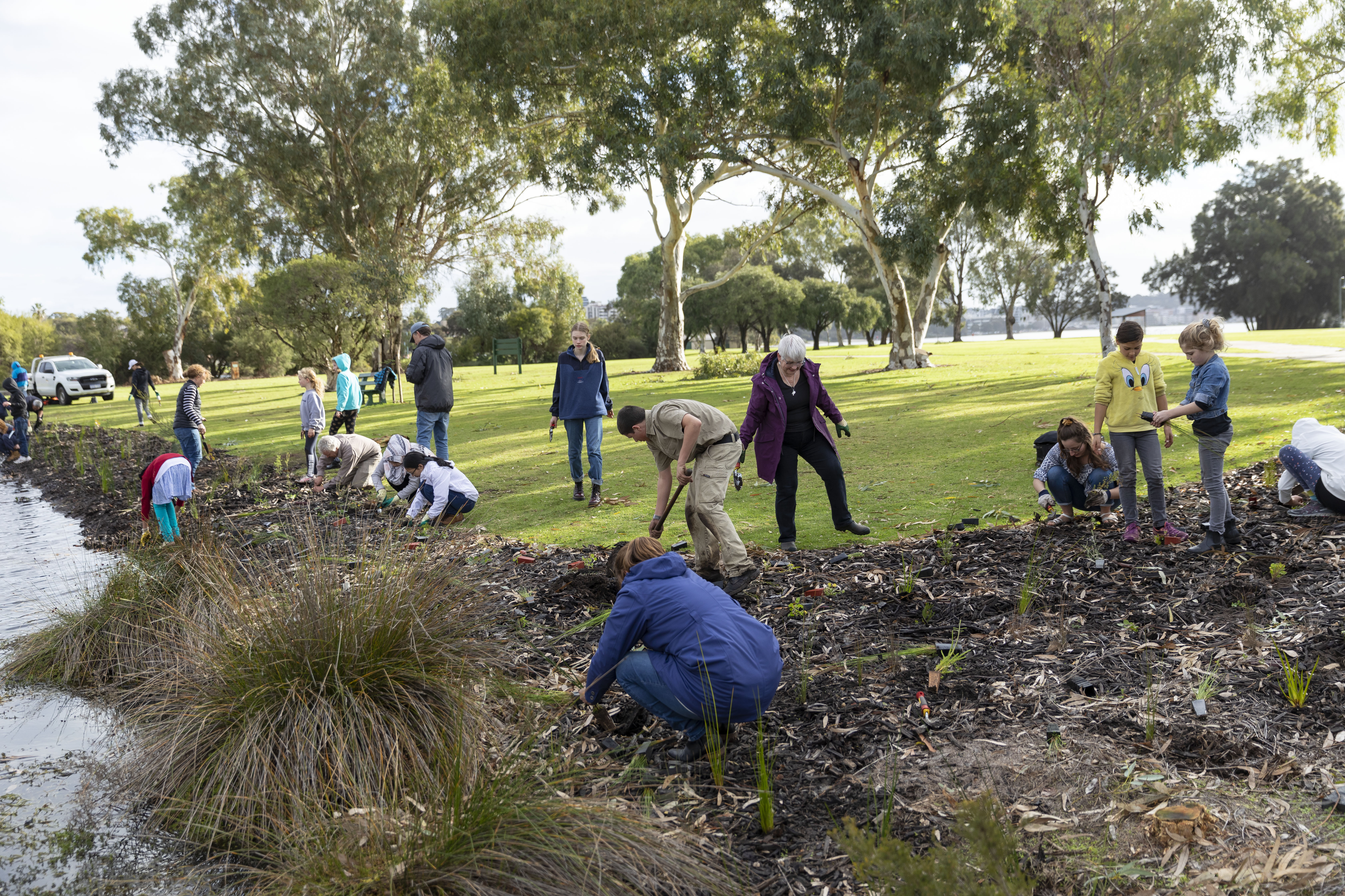 People planting trees near river