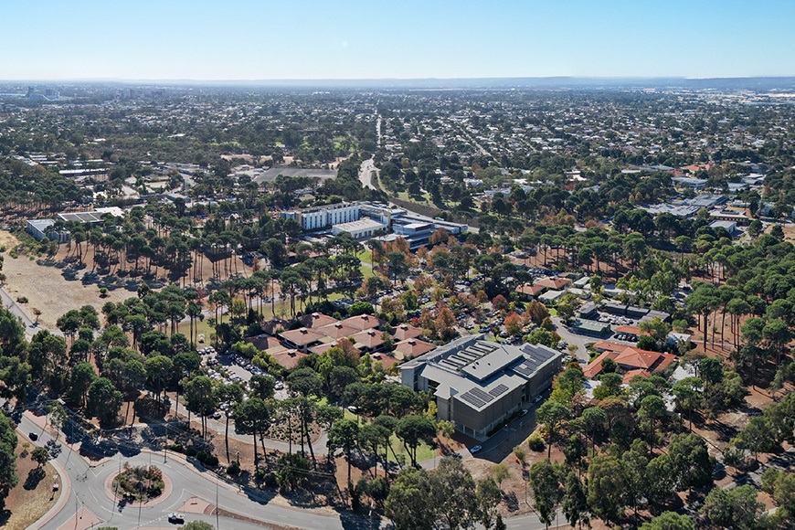 Abirdseyeviewofbuildingsandtrees