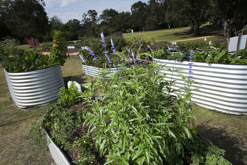McDougall Farm Community Garden