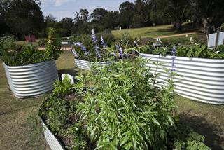 McDougall Farm Community Garden