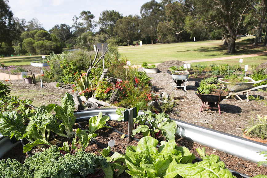 McDougall Farm Community Garden