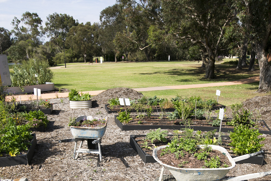 McDougall Farm Community Garden
