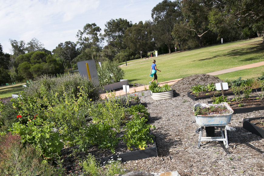 McDougall Farm Community Garden