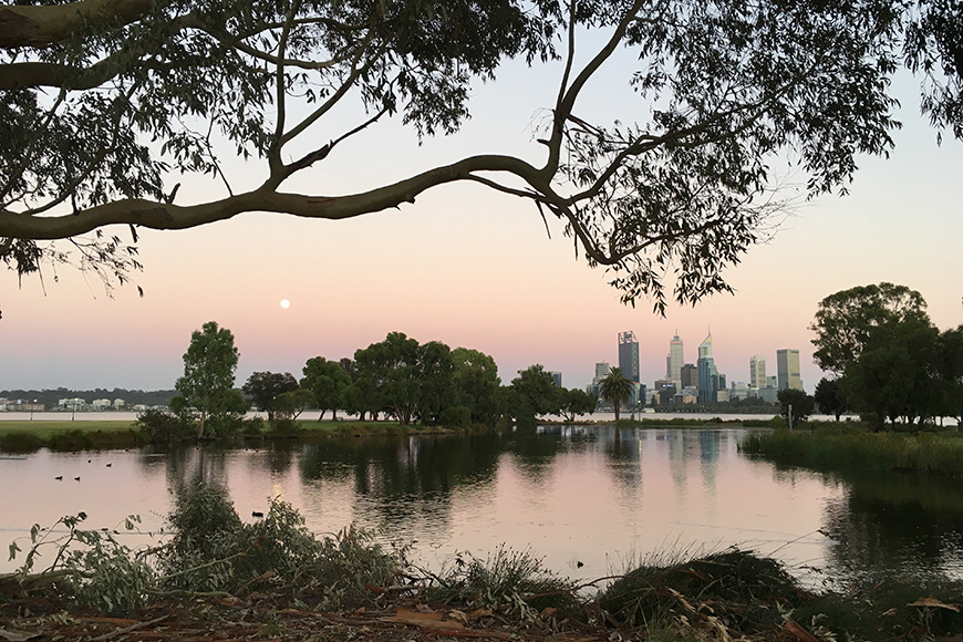 A lake with the city in the background