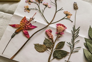 pressedflowerart