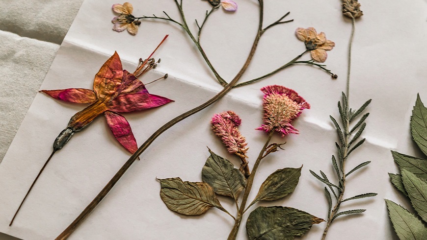 pressedflowerart