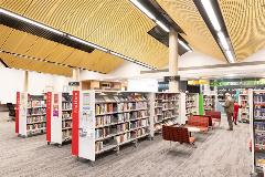 Manninglibrarymisc