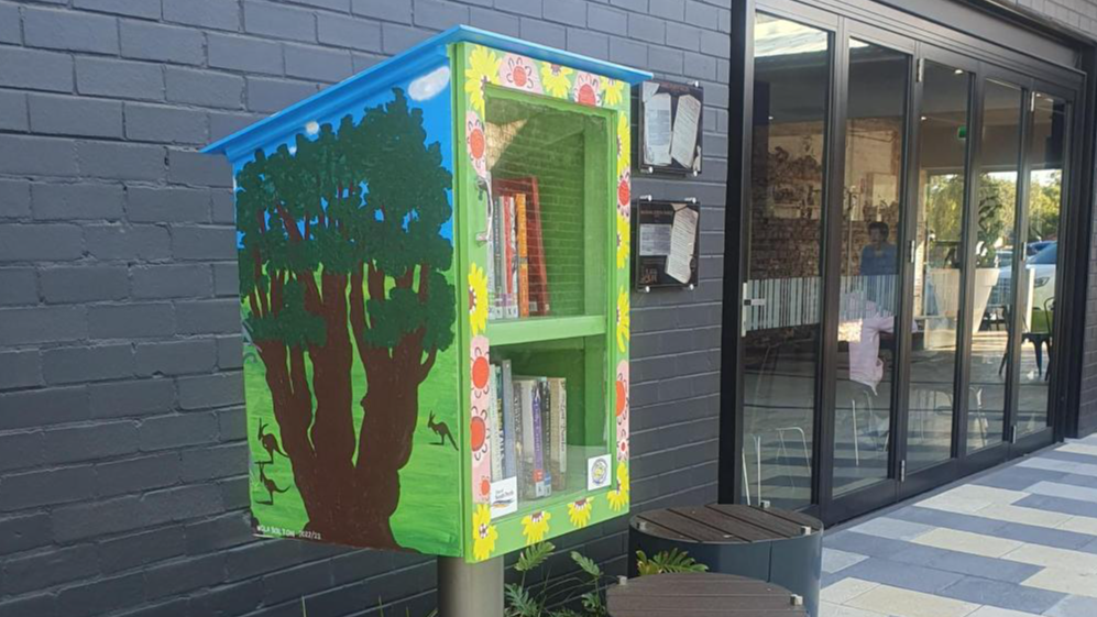 A photograph showing the Manning Community Centre Little Library from the side