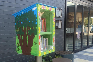 A photograph showing the Manning Community Centre Little Library from the side
