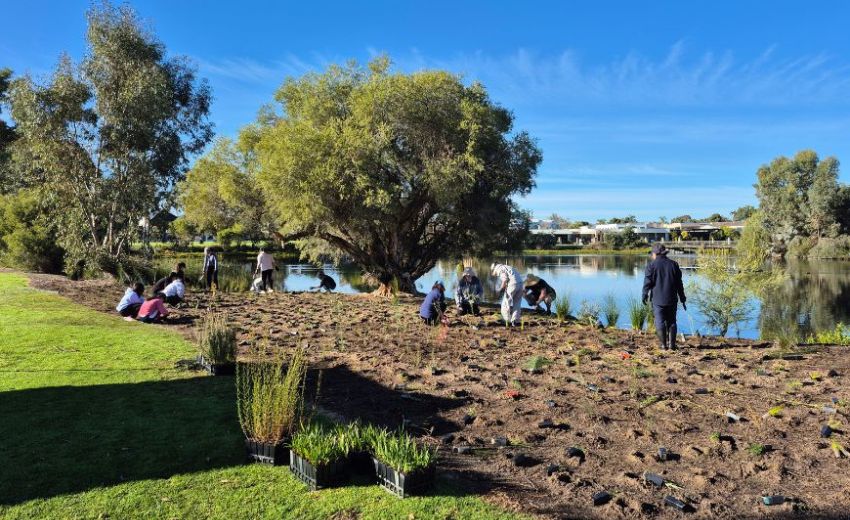 Young volunteers planting at Lake Douglas