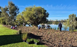 Young volunteers planting at Lake Douglas