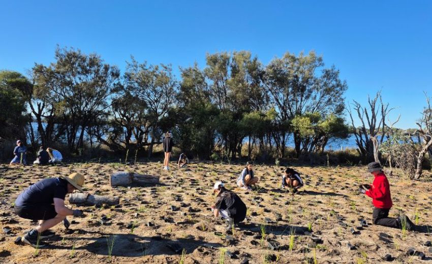 Young volunteers planting at Sandon Park