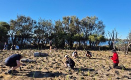 Young volunteers planting at Sandon Park