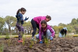 familyvolunteeringplantingtreesoutdoors