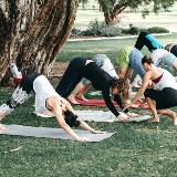 Vyoga