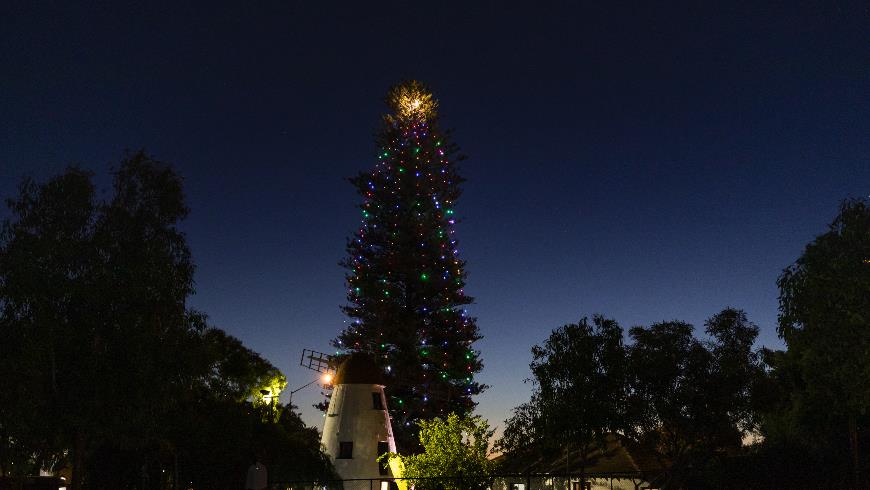 OldMillChristmasTree