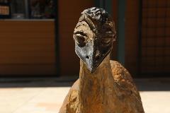 emu at Mends St Jetty 