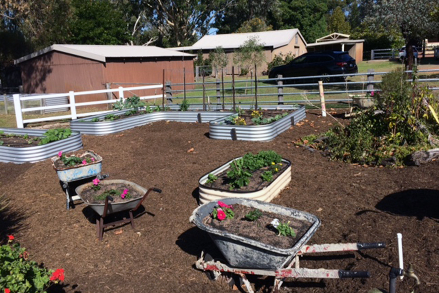 McDougall Farm Community Garden